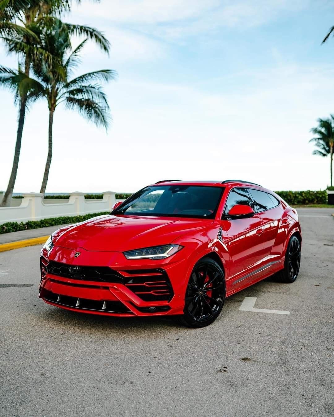 Red Lamborghini Urus parked beneath palm trees on O'ahu